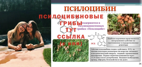 герыч Нефтегорск