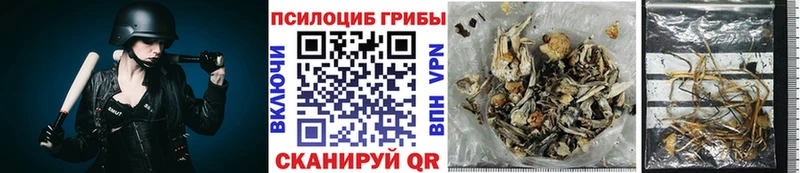 Галлюциногенные грибы Magic Shrooms  Первомайск 